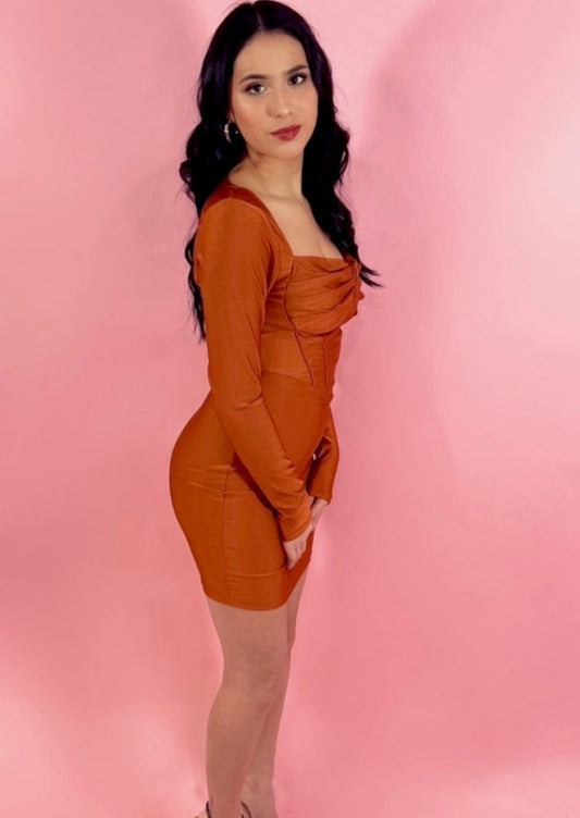 Amy Dress in Spice